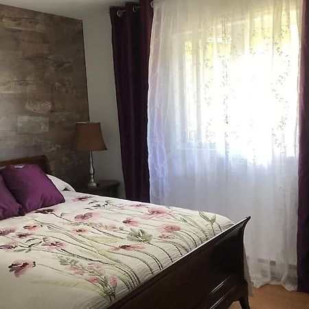 Chalet Pres Du Mont Megantic Βίλα La Patrie Εξωτερικό φωτογραφία
