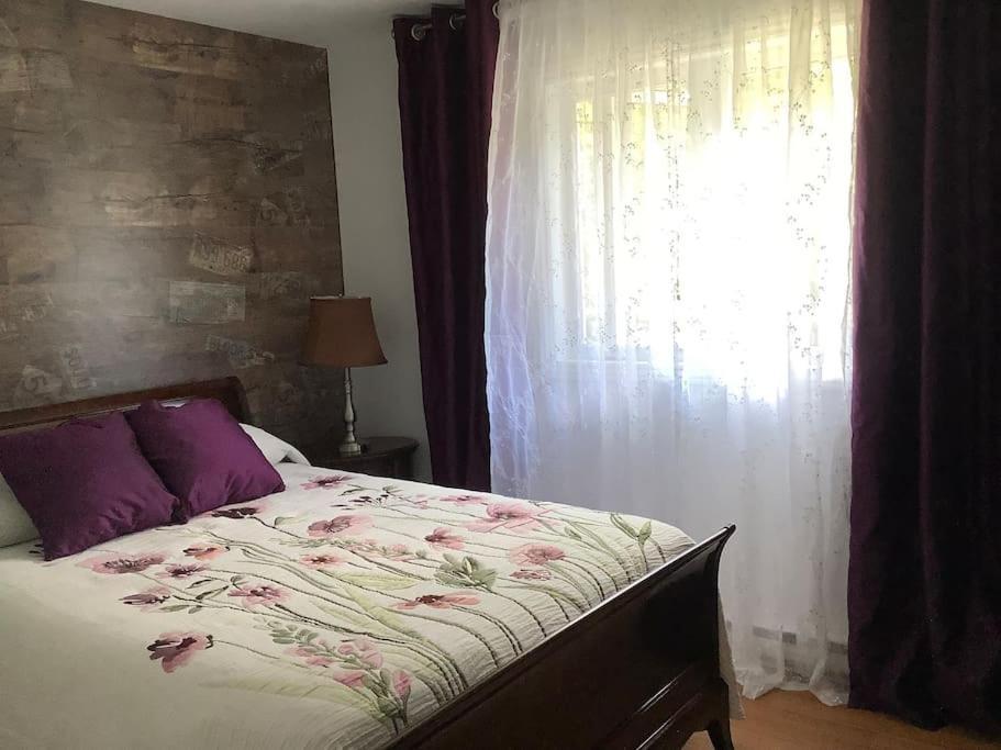 Chalet Pres Du Mont Megantic Βίλα La Patrie Εξωτερικό φωτογραφία